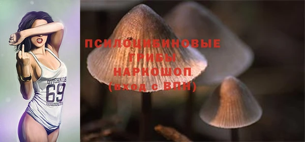соль курить ск Верхний Тагил