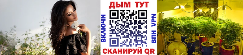 Бошки марихуана ГИДРОПОН  Калач-на-Дону 